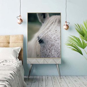 Quadro Canvas Decorativo para Sala Cavalo Branco 90x60