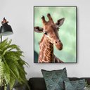 Ver imagem 1 de Quadro Canvas Decorativo para Sala Savana Africana Girafa 60x40
