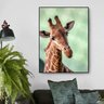 Quadro Canvas Decorativo para Sala Savana Africana Girafa 90x70 - 1