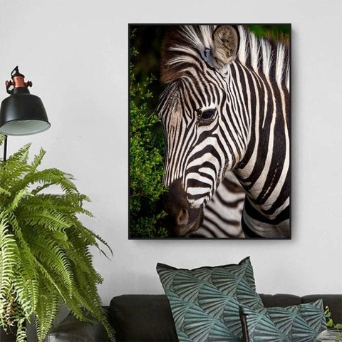 Quadro Canvas Decorativo para Sala Savana Africana Zebra 60x40