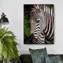 Ver imagem 1 de Quadro Canvas Decorativo para Sala Savana Africana Zebra 1,20x90