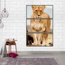 Ver imagem 1 de Quadro Canvas Decorativo para Sala 3 Telas Leoa 45x90