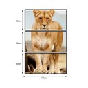 Ver imagem 2 de Quadro Canvas Decorativo para Sala 3 Telas Leoa 55x1,10