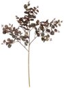 Ver imagem 1 de Planta Artificial Folhagem Galho Eucalipto X144 Marsala 77cm