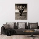 Ver imagem 1 de Quadro Canvas Decorativo para Sala Elefante Savana 60x40