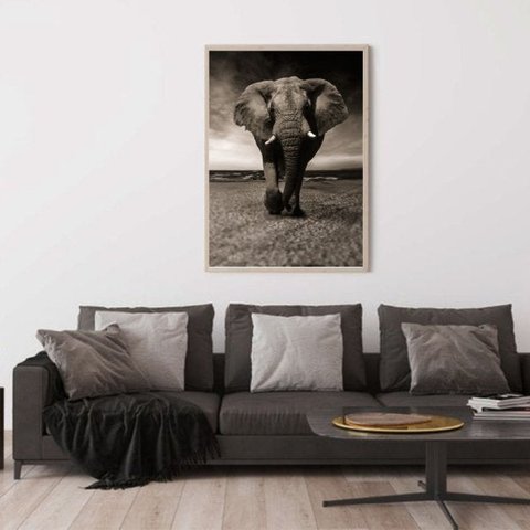 Quadro Canvas Decorativo para Sala Elefante Savana 60x40