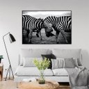 Ver imagem 1 de Quadro Canvas Decorativo para Sala Zebras 50x70