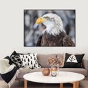 Ver imagem 1 de Quadro Canvas Decorativo para Sala Águia 60x90