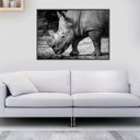Ver imagem 1 de Quadro Canvas Decorativo para Sala Rinoceronte P&b 40x60