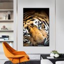 Ver imagem 1 de Quadro Canvas Decorativo para Sala Tigre Siberiano 100x80