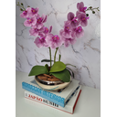 Ver imagem 3 de Arranjo Com 2 Orquídeas Violeta Vaso Dourado 22cm
