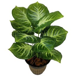 PLANTA ARTIFICIAL COMIGO NINGUEM PODE 12 FOLHAS 53CM DE VASO - 1