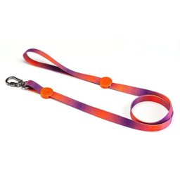 Guia para Cachorro Degrade L/R - Prediletta - P - 1