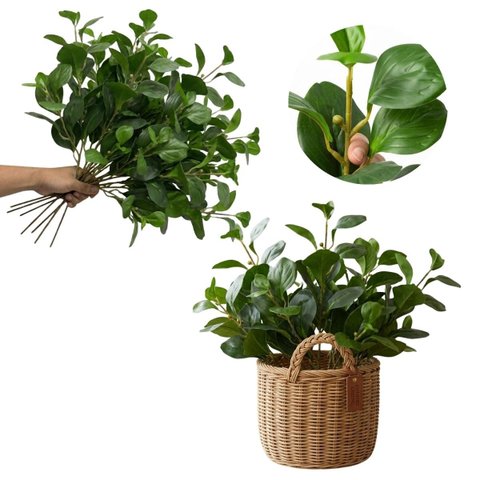 Galhos Peperômia Artificial 65cm Kit com 4 Folhagens Toque Natural