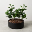 Ver mais imagens de Galhos Peperômia Artificial 65cm Kit com 4 Folhagens Toque Natural