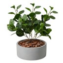 Ver imagem 7 de Galhos Peperômia Artificial 65cm Kit com 4 Folhagens Toque Natural