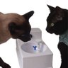 BEBEDOURO FONTE DE CÃOS E GATOS CONECTADO DIRETO NA TORNEIRA - 1