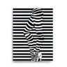 Quadro Decorativo Canvas Perna Zebrada 136x86cm - 2