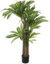 Ver imagem 1 de Planta Artificial Arvore Dracena Pau D'agua Real Toque C/pote Pu X130 Verde Creme 1,3m