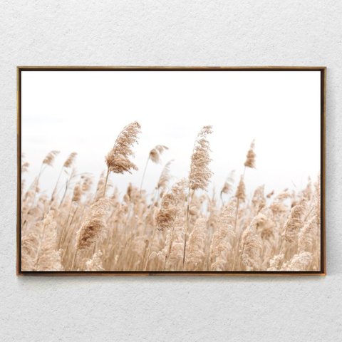 Quadro Decorativo Capim Rabo de Raposa Com Moldura e Sem Vidro 100X160