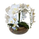 Ver imagem 1 de Arranjo 4 Flores Orquídeas Brancas No vaso Terrário de Vidro