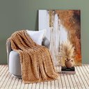 Ver imagem 2 de Cobertor Manta Confy Ultrasoft Flannel Queen 2,40m X 2,20m Texturizado 01 Peça - Caramelo