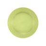 Aparelho de Jantar 20 Peças Porcelana Oxford - Verde - 3