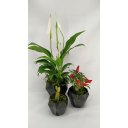 Ver imagem 1 de Kit Cachepot Modelo diamante:Preto