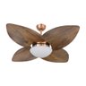 Ventilador de Teto Dormamu Cobre 4 Pás Rádica Imbuia 220V - 1