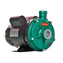 Ver imagem 1 de Bomba Th-16 1,5 Cv Monofásico Motor Ip23 127/220-254v Thebe Ebara