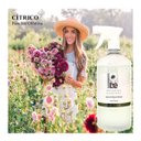 Ver imagem 2 de Água de Passar Roupa Botanica Essence 34. Farme Gold 1 Litro