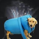 Ver imagem 4 de Capa Secadora de Cachorros Vento Quente Tamanho G