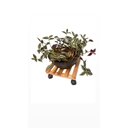 Ver imagem 4 de Suporte para Bujão de Gás