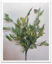 Ver imagem 2 de Mini Buque Mil Folhas Verde Cinzentado 30cm