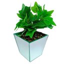 Ver imagem 1 de Vaso Decorativo Espelhado Triângulo com Buquê de Planta Hera Artificial