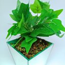 Ver imagem 6 de Vaso Decorativo Espelhado Triângulo com Buquê de Planta Hera Artificial