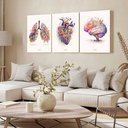 Ver imagem 3 de Kit 3 Quadro Decorativo Coração Cérebro Pulmão Flores Medico Qualidade Premium Moderno 28x20cm