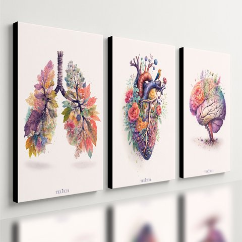 Kit 3 Quadro Decorativo Coração Cérebro Pulmão Flores Medico Qualidade Premium Moderno 28x20cm