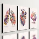 Ver imagem 1 de Kit 3 Quadro Decorativo Coração Cérebro Pulmão Flores Medico Qualidade Premium Moderno 28x20cm
