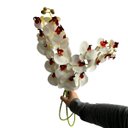 Ver imagem 3 de Kit 2 Orquídeas Artificiais 110cm Toque Real Branco Luxo para Vaso e Aparador