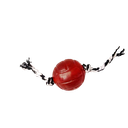 Ver imagem 6 de Brinquedo para Cães Bola Cristal Bone Lisa Laço Preto 75mm