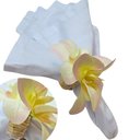 Ver imagem 1 de Kit 6 Porta Guardanapo Magnolia Mensagem Gratidão na Garrafinha:white