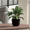 Ver imagem 2 de Vaso Redondo Concept Polipropileno N2 26x33x19cm Japi - Chumbo