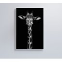 Ver imagem 1 de Quadro Girafa Preto e Branco Decor&quadros Nat096