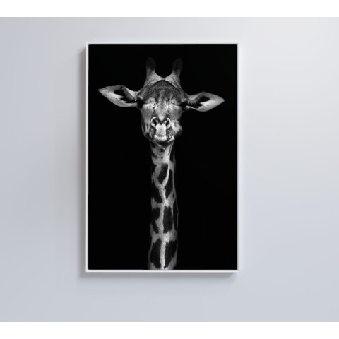 Quadro Girafa Preto e Branco Decor&quadros Nat096