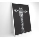 Ver imagem 6 de Quadro Girafa Preto e Branco Decor&quadros Nat096