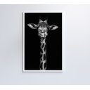 Ver imagem 4 de Quadro Girafa Preto e Branco Decor&quadros Nat096