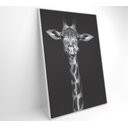 Ver imagem 2 de Quadro Girafa Preto e Branco Decor&quadros Nat096