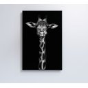 Ver imagem 5 de Quadro Girafa Preto e Branco Decor&quadros Nat096
