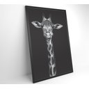 Ver mais imagens de Quadro Girafa Preto e Branco Decor&quadros Nat096